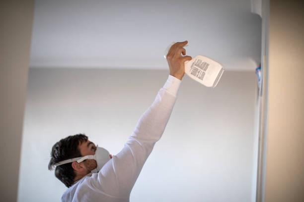 Best Crawl Space Mold Removal  in La Fayette, AL