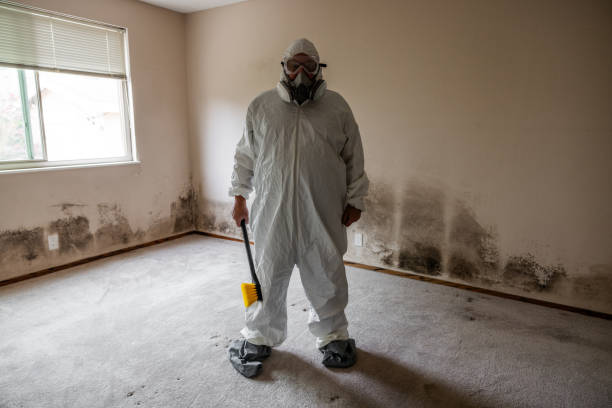 Office Mold Removal Services in La Fayette, AL
